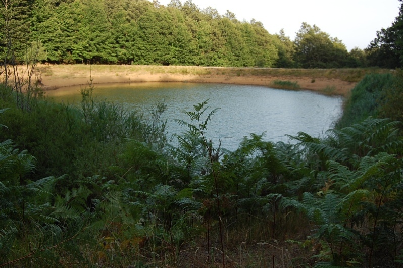 Laghi.........della CALABRIA